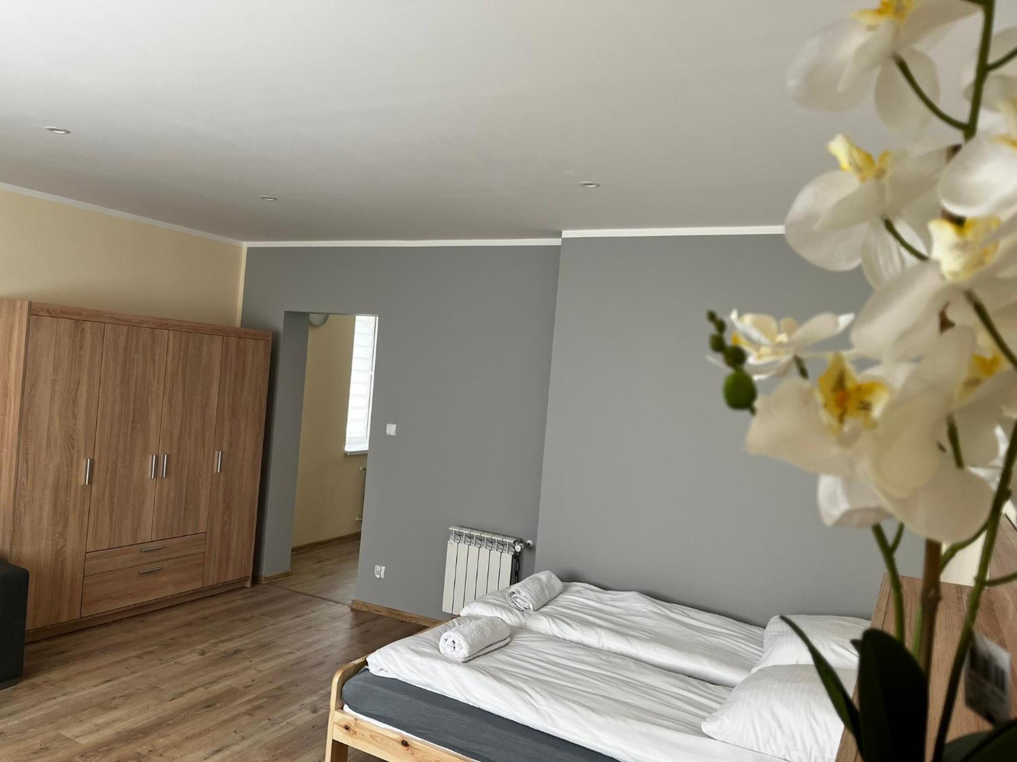 Beskid Rest Apartments Żywiec Exterior foto